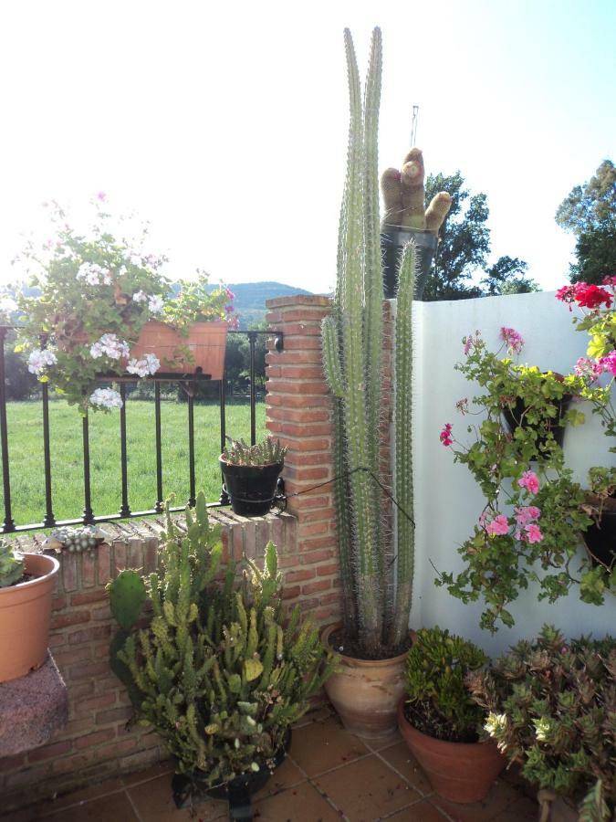 Apartamentos Las Juanas El Bosque Εξωτερικό φωτογραφία